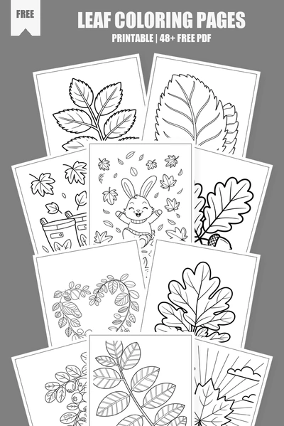 Coloring Pages PDF Pack Cover