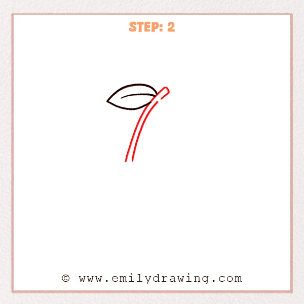 how to draw a cherry - A cherry leaf now connects to a long, curved stem drawn with two parallel lines.