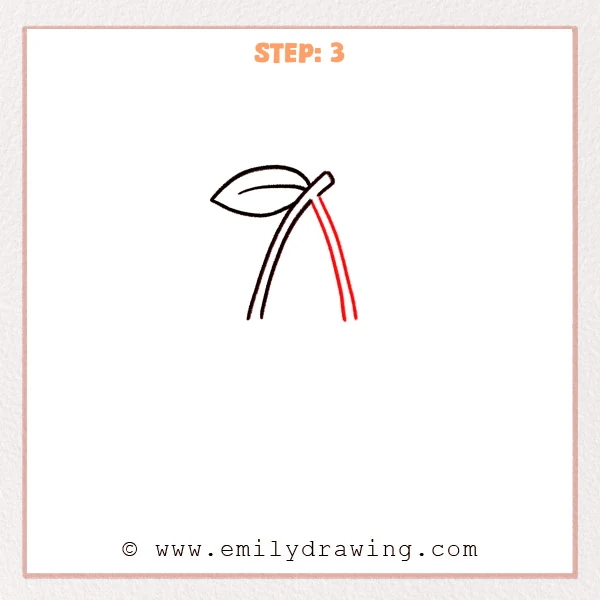 how to draw a cherry - A cherry leaf now connects to two curved stems that split and hang down in a wide V shape.