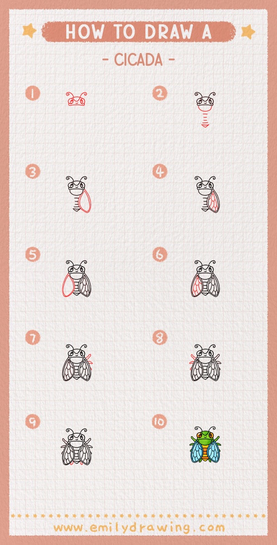 how to draw a cicada pinterest pin