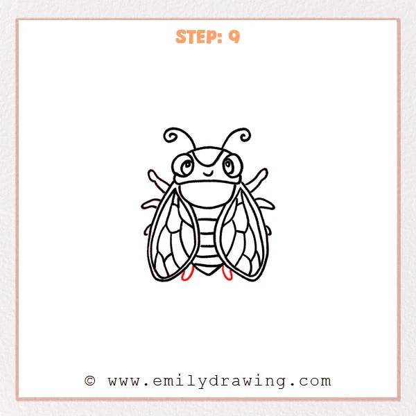 how to draw a cicada - A cute cicada drawing with two small bottom feet added beneath the abdomen between the overlapping wings.