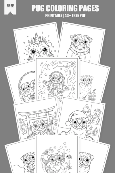 Coloring Pages PDF Pack Cover
