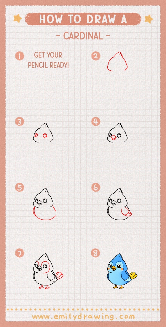 how to draw a cardinal pinterest pin