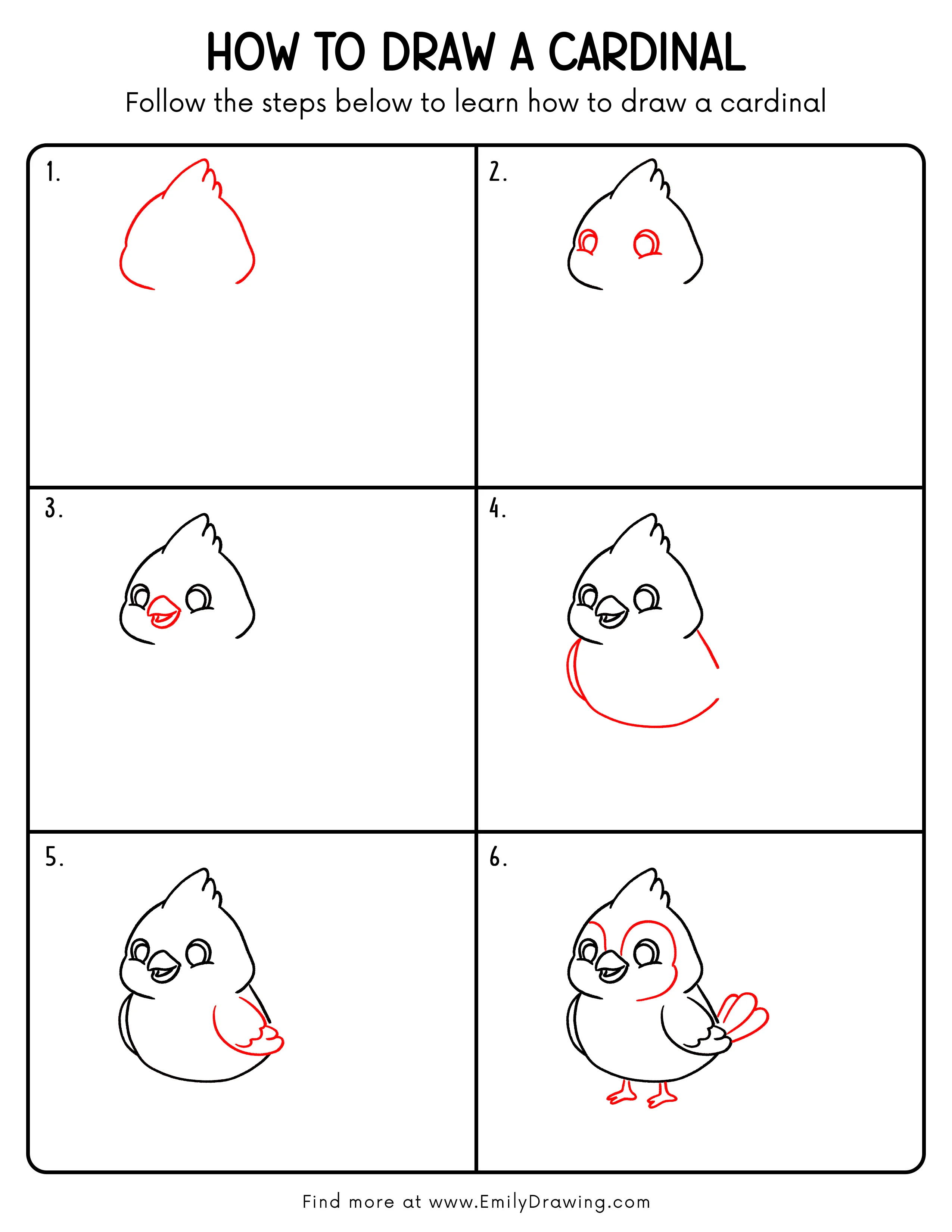 Printable Cardinal Drawing Guide