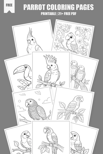Coloring Pages PDF Pack Cover