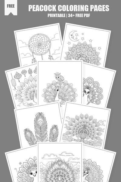 Coloring Pages PDF Pack Cover