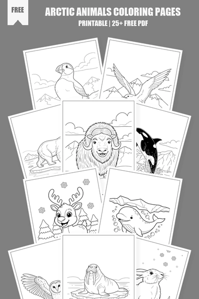 Coloring Pages PDF Pack Cover