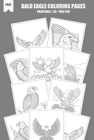 Coloring Pages PDF Pack Cover