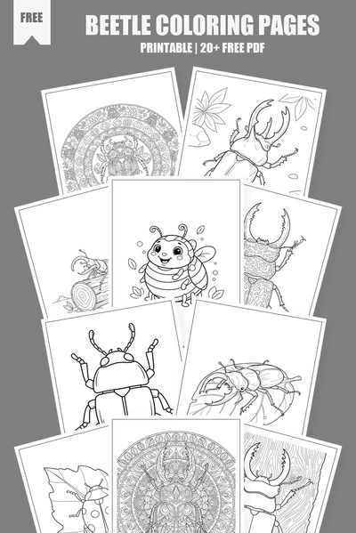 Coloring Pages PDF Pack Cover