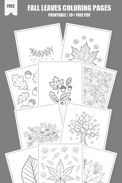 Coloring Pages PDF Pack Cover
