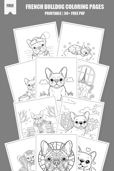 Coloring Pages PDF Pack Cover