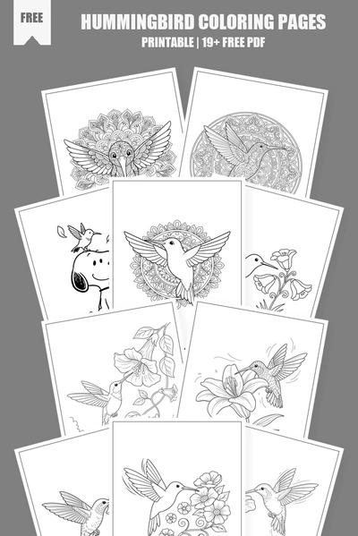 Coloring Pages PDF Pack Cover