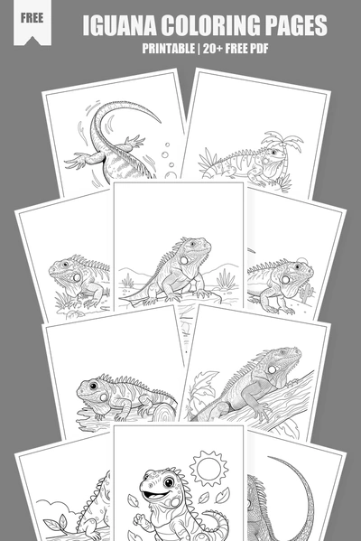 Coloring Pages PDF Pack Cover
