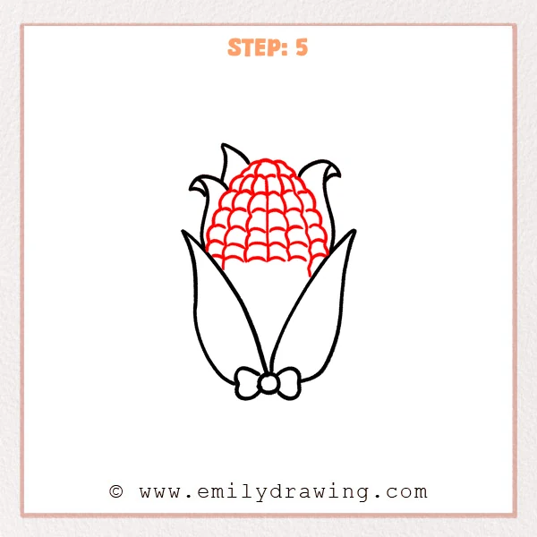 how to draw a corn - The corn drawing now shows the top of the cob filled with neat rows of curved kernels between the open husks.