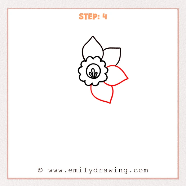 how to draw a daffodil - Daffodil drawing with the center and top petals, now adding a large lower-right petal and a downward bottom petal.