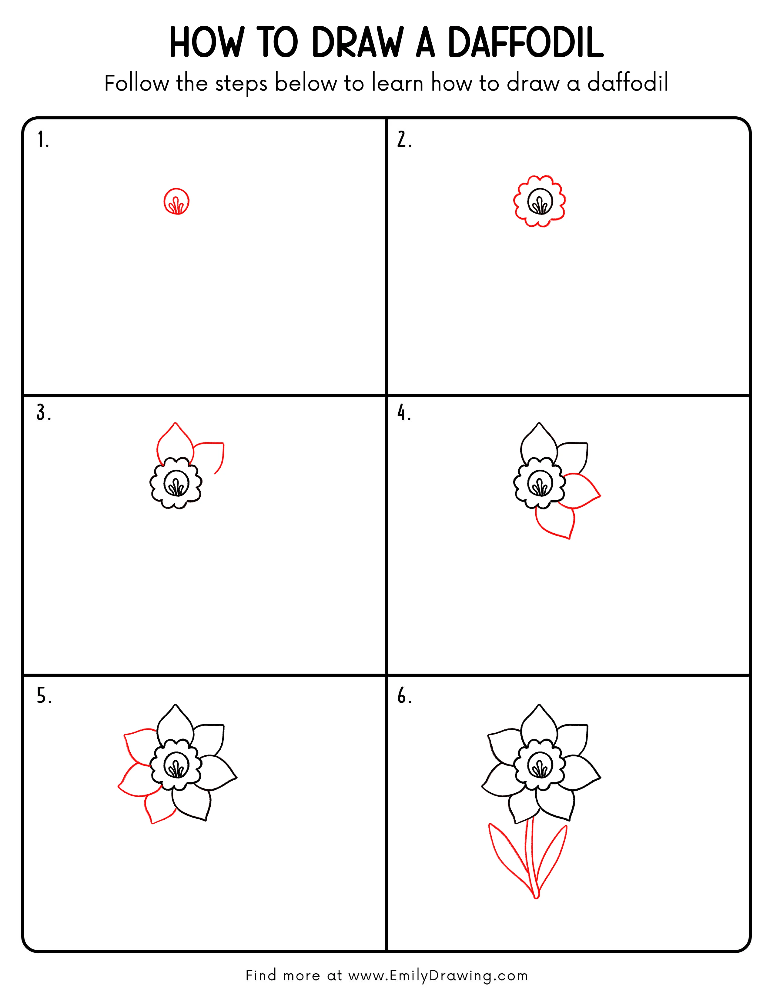 Printable Daffodil Drawing Guide