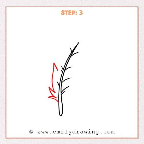 how to draw a feather - Step 3