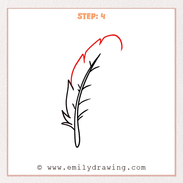 how to draw a feather - Step 4