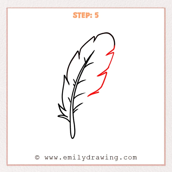 how to draw a feather - Step 5