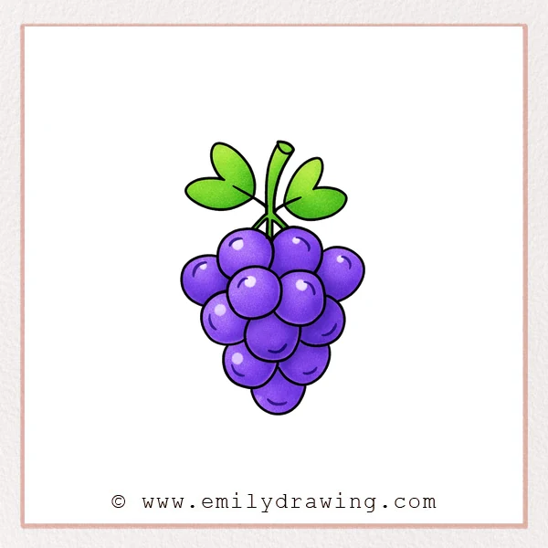 Preview of Grapes drawing