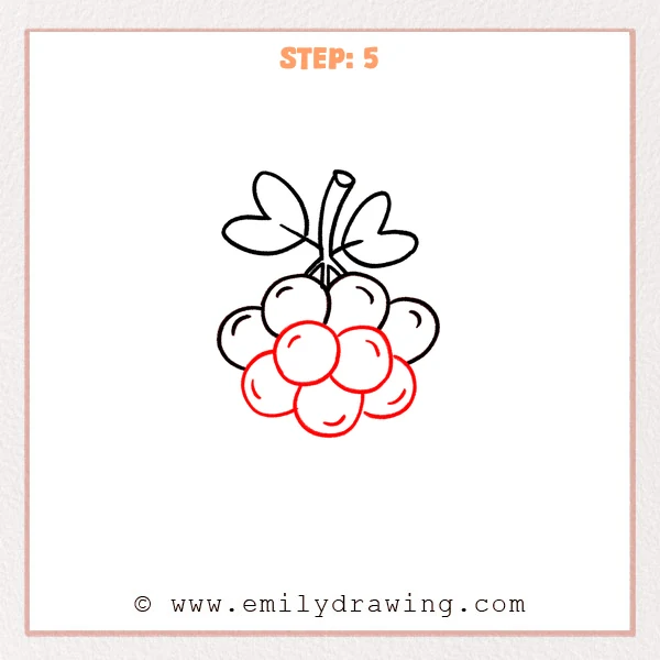 how to draw a grapes - Step 5