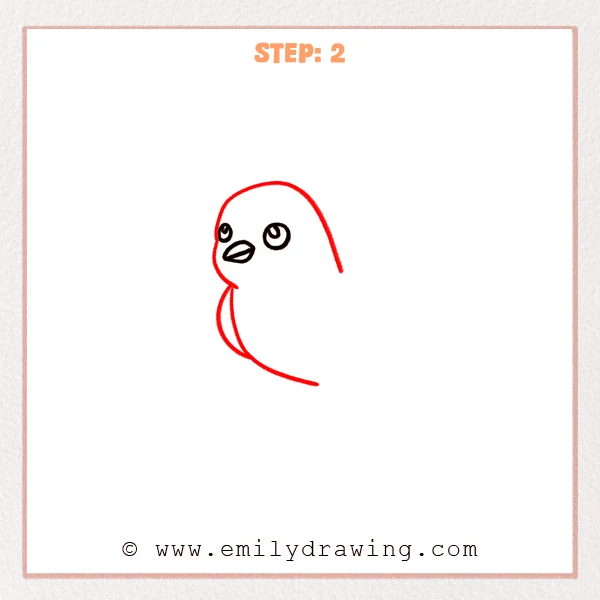 how to draw a dove - Step 2 of a dove drawing, adding a rounded head outline and curved neck-to-body lines around the eyes and beak.