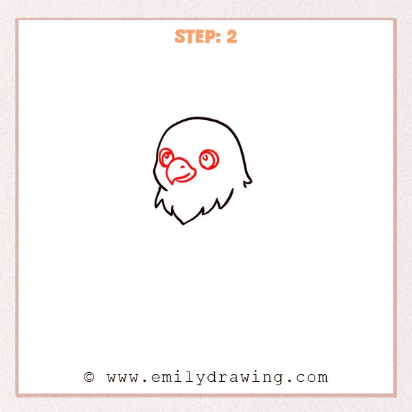how to draw an eagle - An easy eagle drawing step showing two round eyes with pupils and a curved hooked beak added inside the head outline.