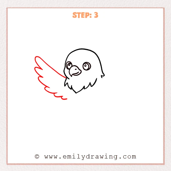 how to draw an eagle - A step-by-step eagle drawing with one large wing added on the left using smooth curves and scalloped feather edges.