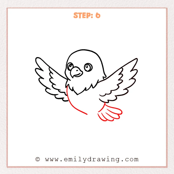 how to draw an eagle - A step-by-step drawing of an eagle adding a rounded body and three fanned tail feathers beneath the wings.