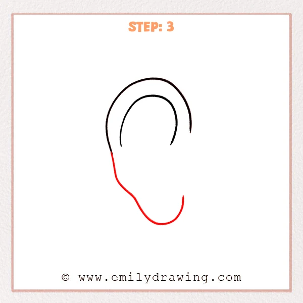 how to draw an ear - Step 3 extends the outer ear outline downward and adds a rounded U-shaped earlobe, making the ear shape more complete.