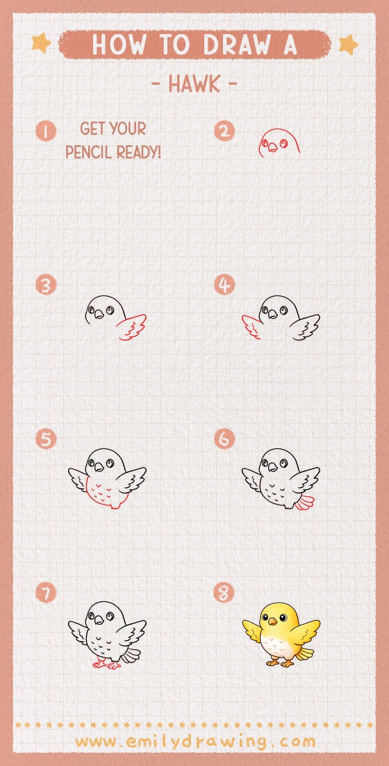 how to draw a hawk pinterest pin