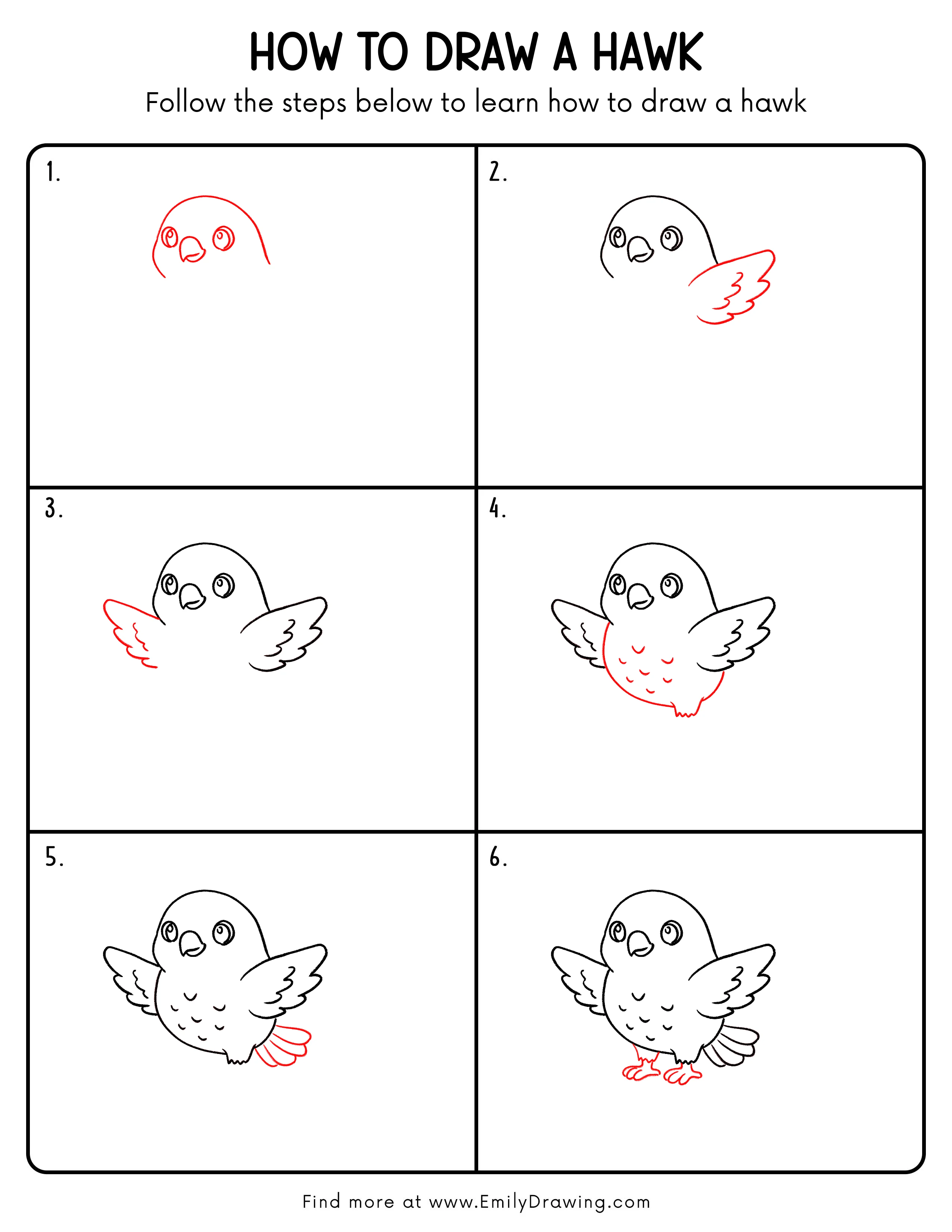 Printable Hawk Drawing Guide