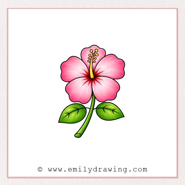 Preview of Hibiscus drawing