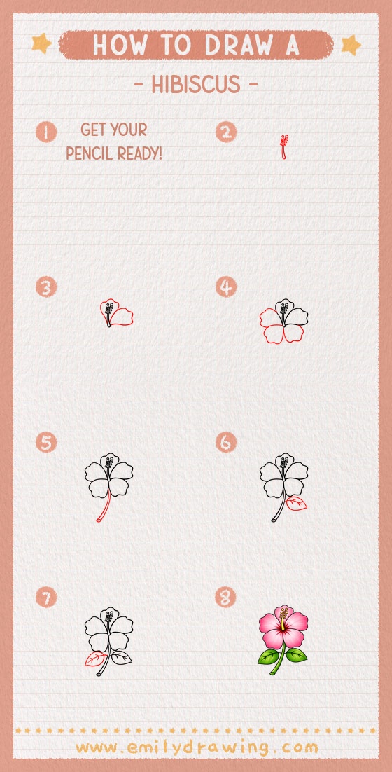 how to draw a hibiscus pinterest pin