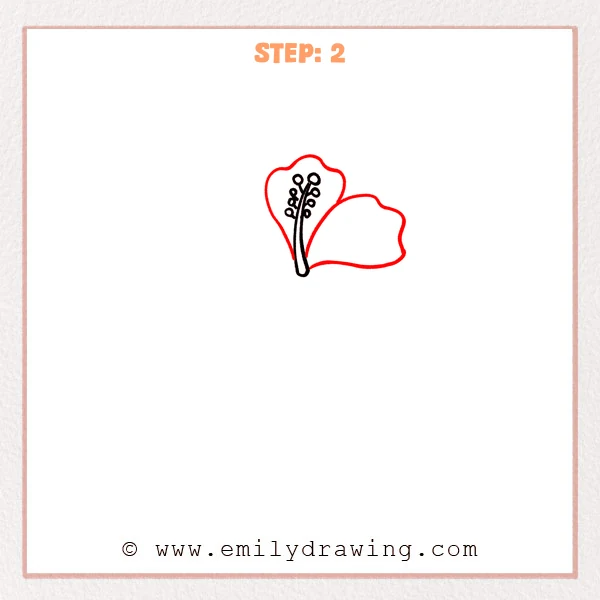 how to draw a hibiscus - The hibiscus sketch now includes two big, wavy-edged petals behind and to the right of the stamen.