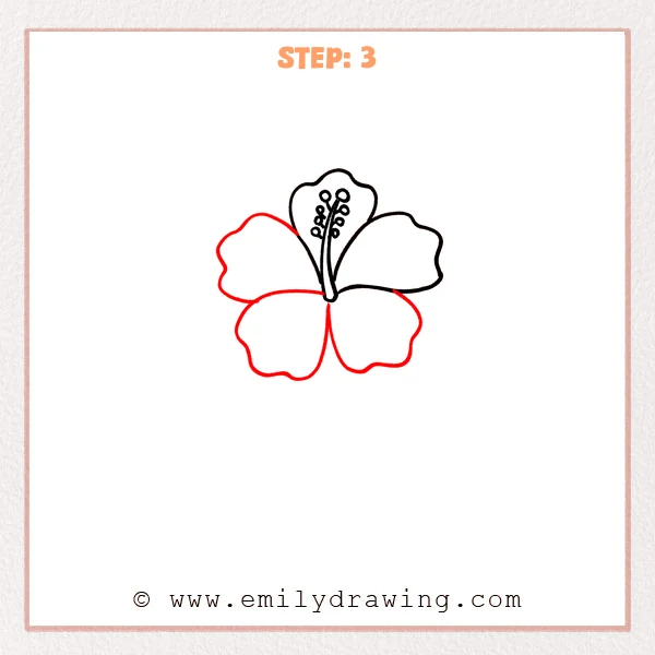 how to draw a hibiscus - The hibiscus drawing now has a full set of petals, with one added on the left and two large petals added at the bottom.