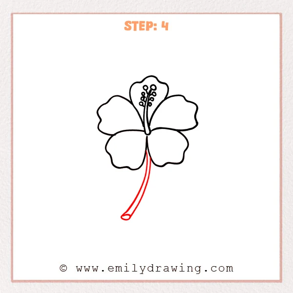 how to draw a hibiscus - The hibiscus drawing now includes a long, curved stem added below the flower, ending with a small oval opening.
