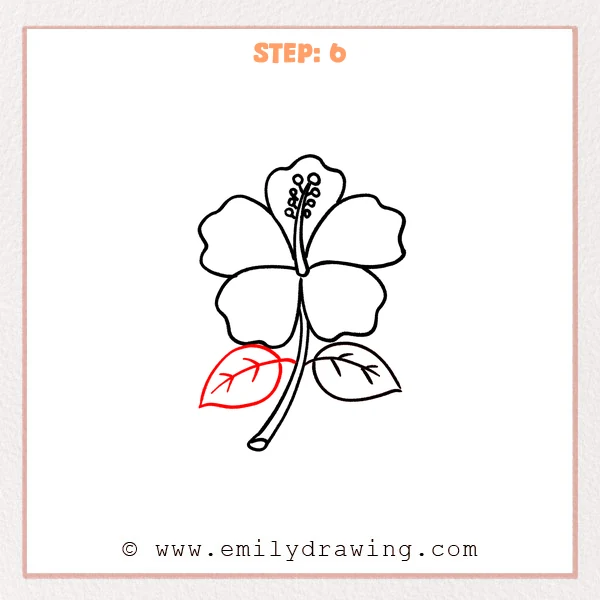 how to draw a hibiscus - The hibiscus drawing now has two leaves on the stem, with a new left leaf added and simple veins to match the right leaf.