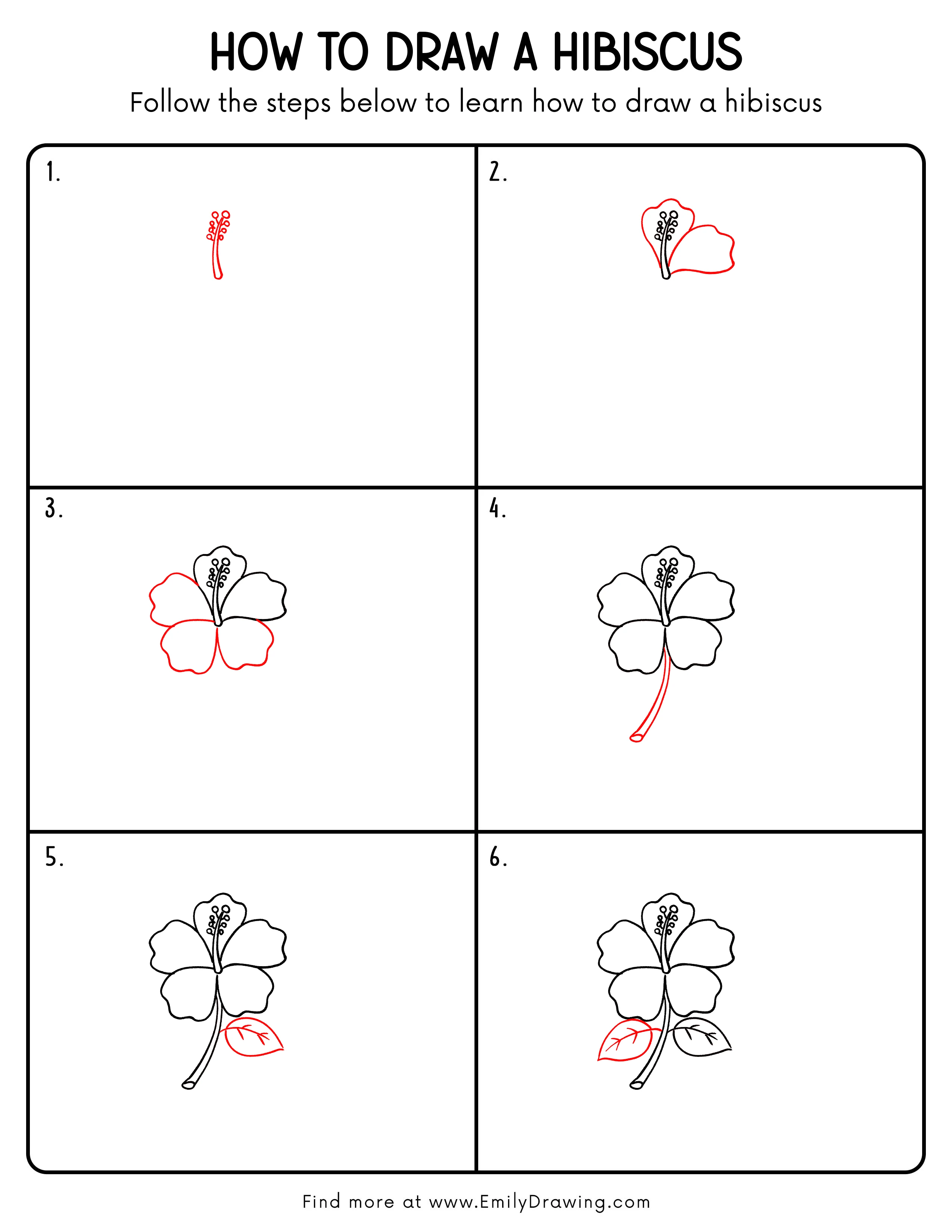 Printable Hibiscus Drawing Guide