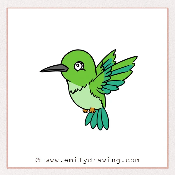 Preview of Hummingbird drawing