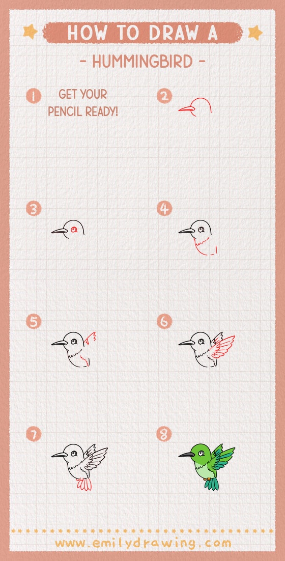 how to draw a hummingbird pinterest pin