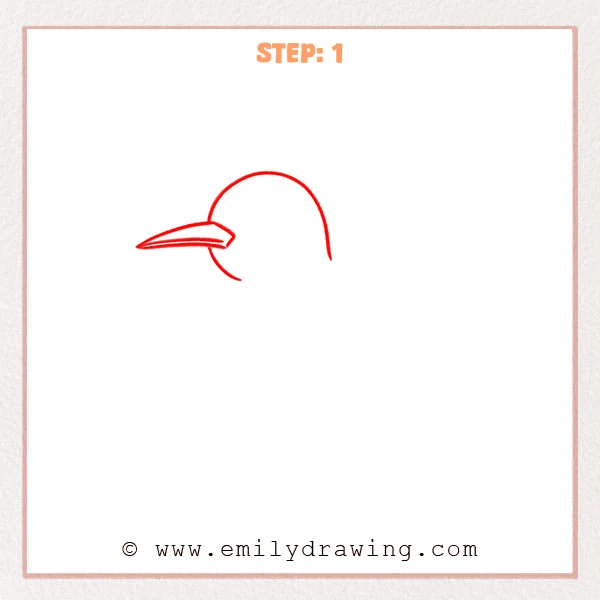 how to draw a hummingbird - Step 1