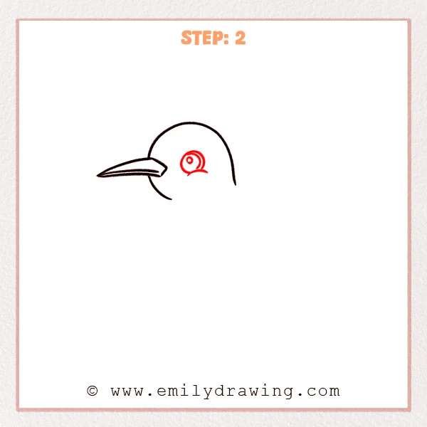 how to draw a hummingbird - Step 2