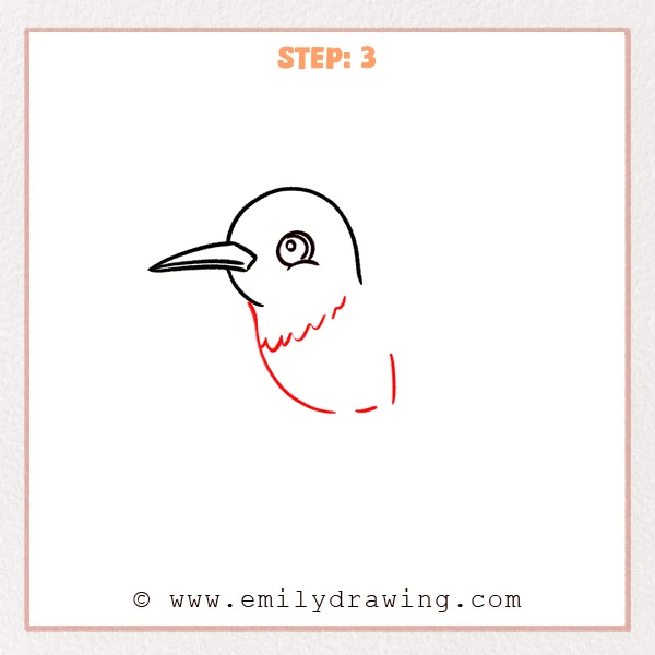 how to draw a hummingbird - Step 3