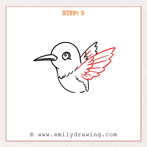 how to draw a hummingbird - Step 5