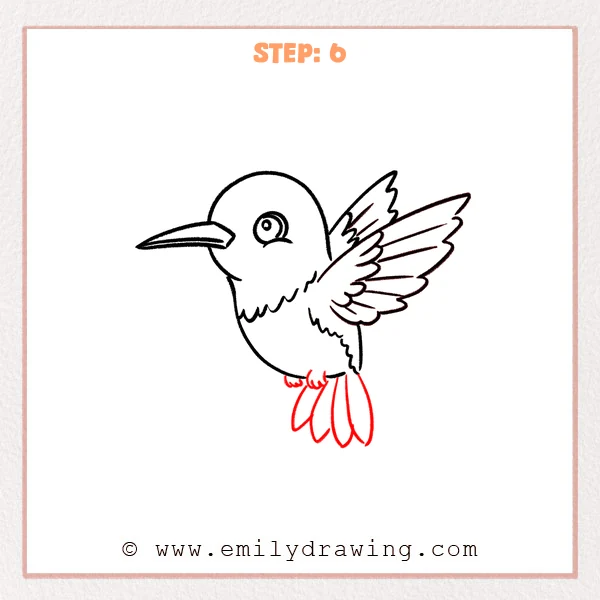 how to draw a hummingbird - Step 6
