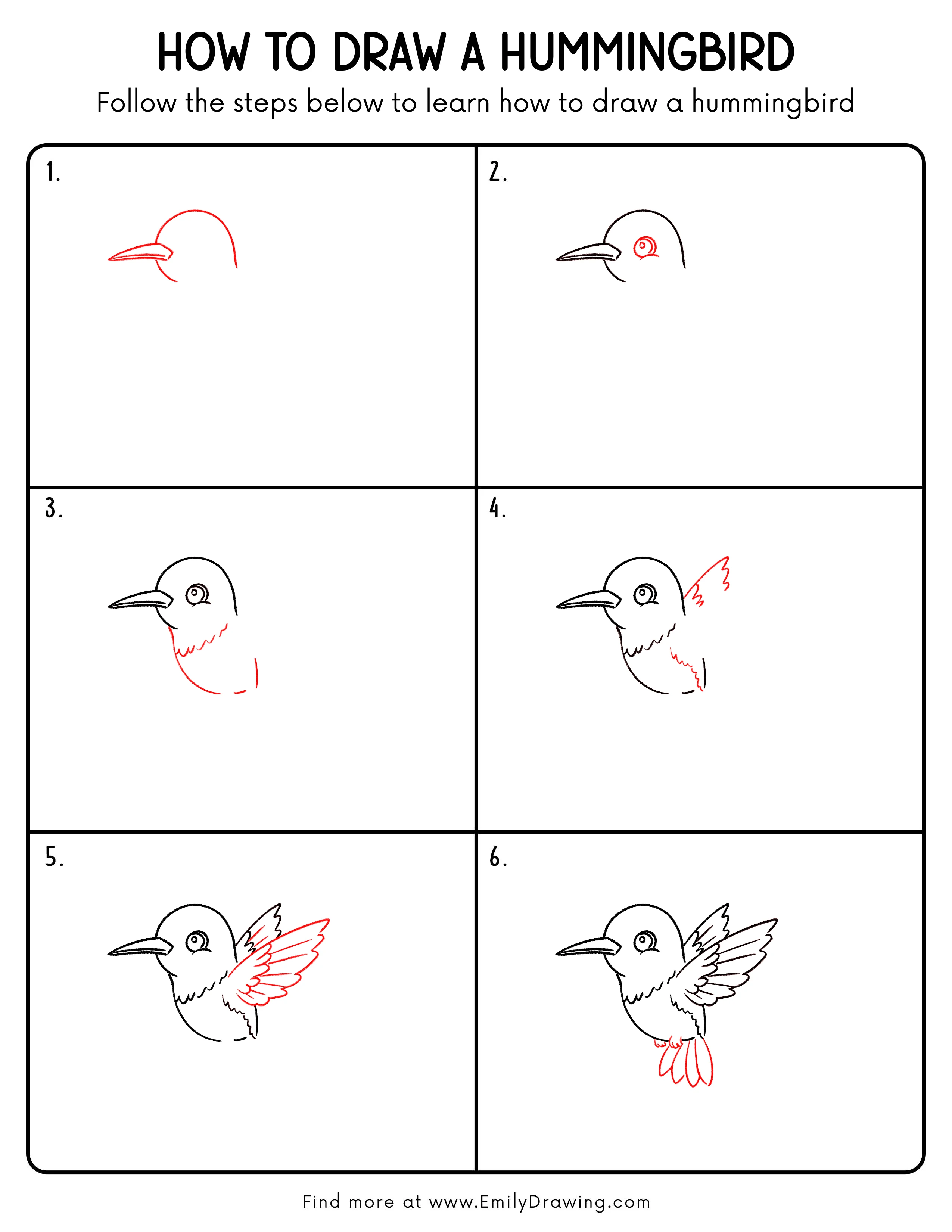 Printable Hummingbird Drawing Guide