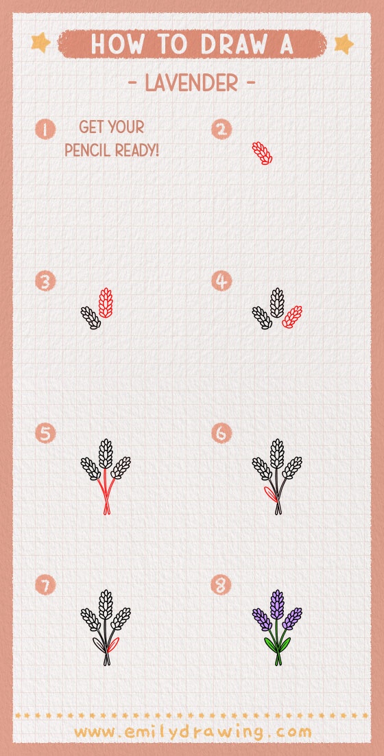 how to draw a lavender pinterest pin