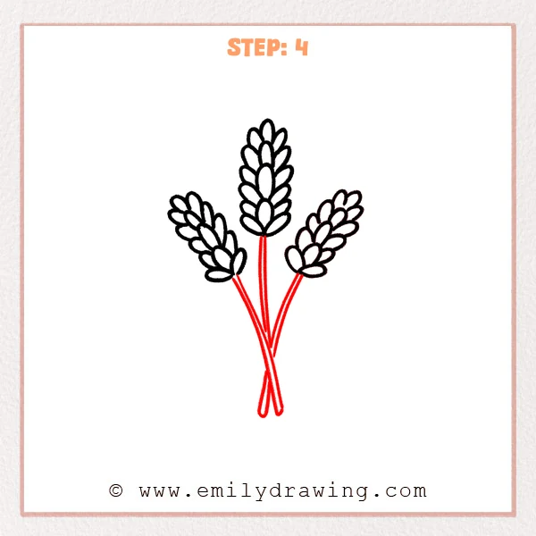 how to draw a lavender - Step 4