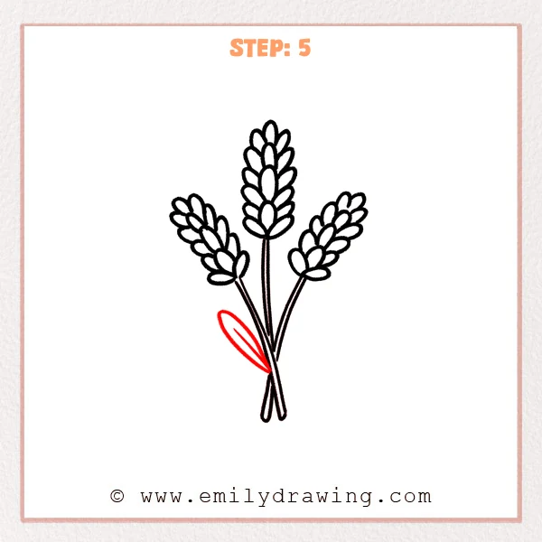 how to draw a lavender - Step 5